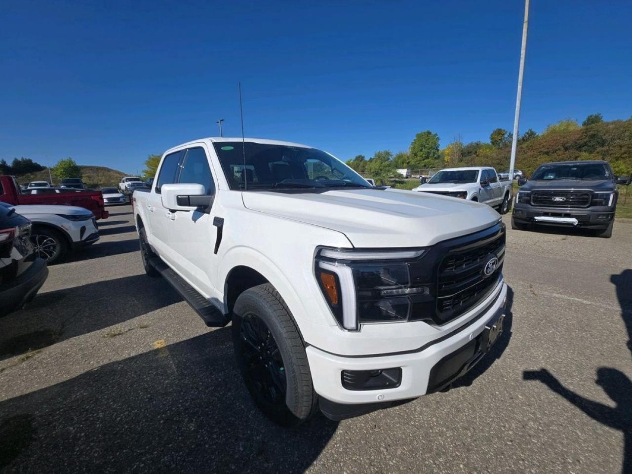 2025 Ford F-150 LARIAT, PANORAMIC ROOF, PRO ACCESS TAILGATE Photo