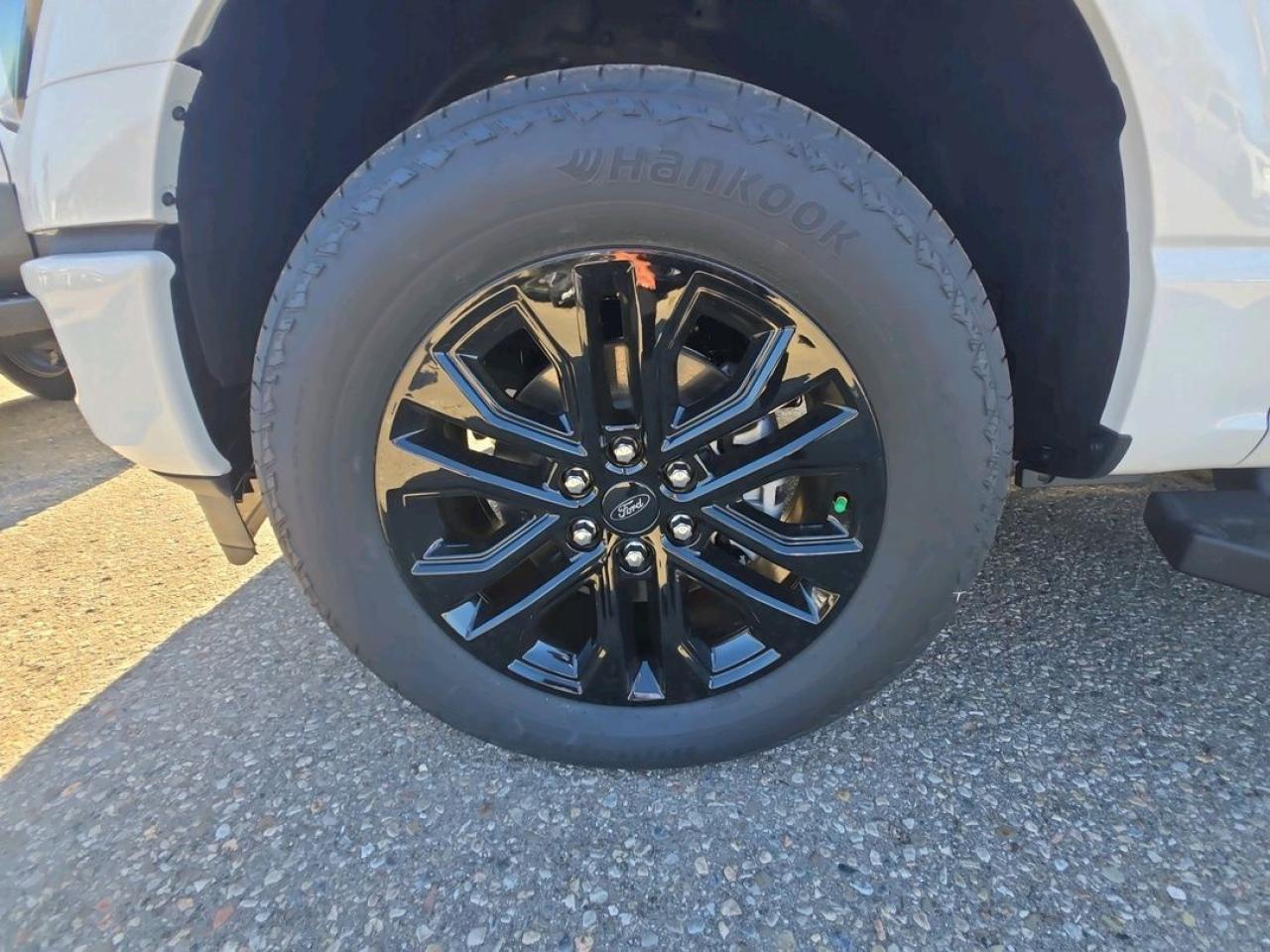 2025 Ford F-150 LARIAT, PANORAMIC ROOF, PRO ACCESS TAILGATE Photo