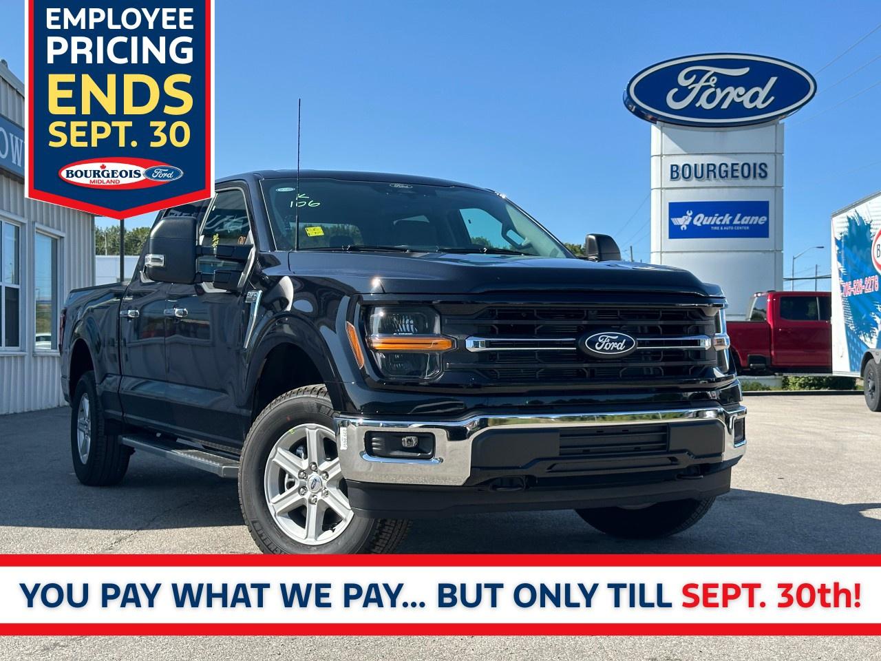 New 2025 Ford F-150 XLT 4WD SuperCrew 6.5' Box for sale in Midland, ON