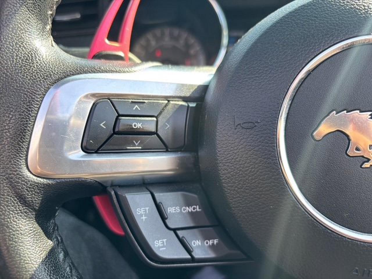 12982462