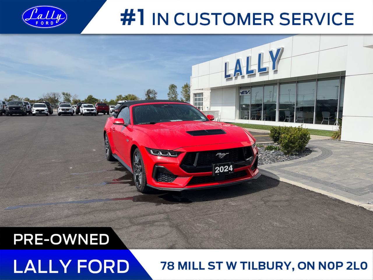 Used 2024 Ford Mustang GT Premium Priced to sell, Mint!! for sale in Tilbury, ON