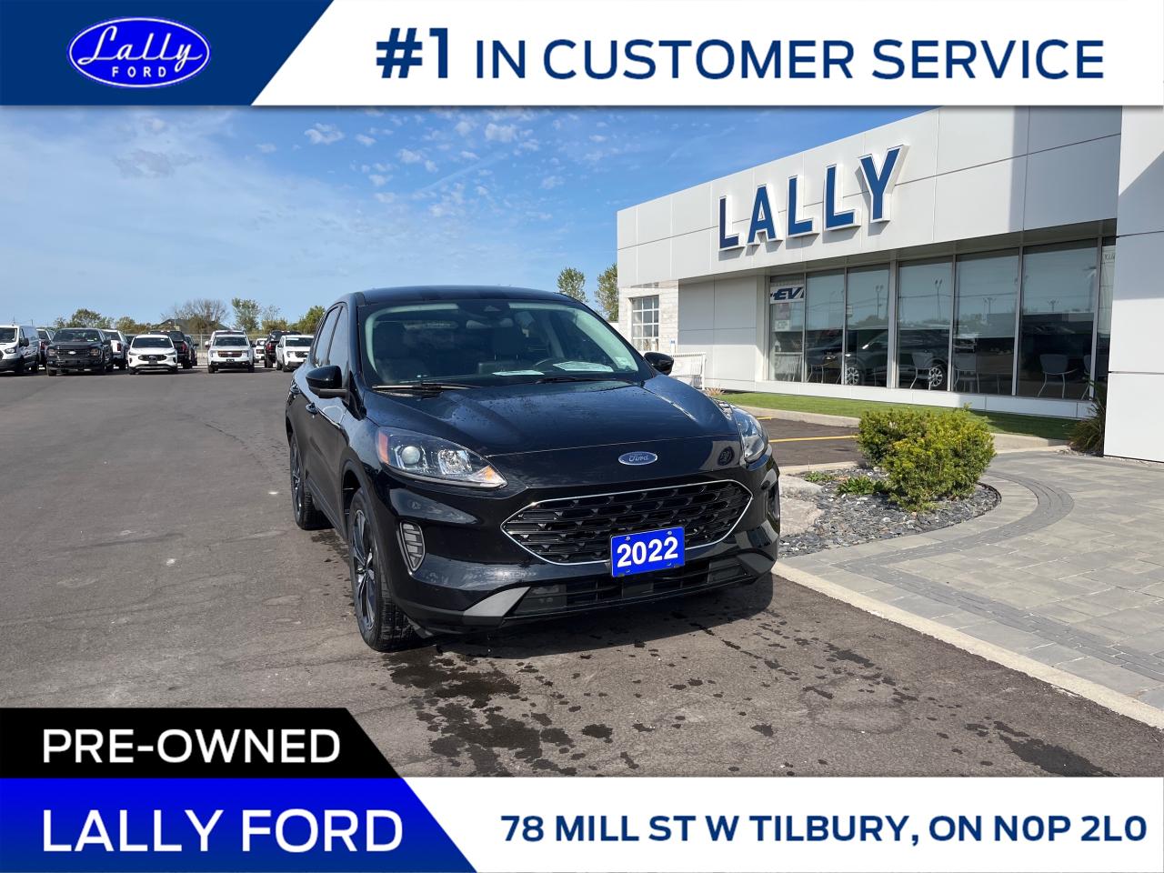 Used 2022 Ford Escape SE Hybrid One Owner, Nav, Cold Weather Package!! for sale in Tilbury, ON
