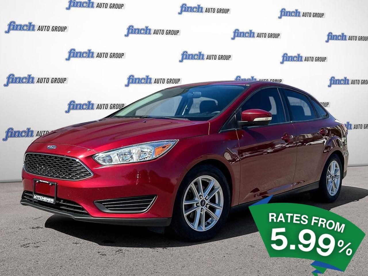 Used 2016 Ford Focus SE One Owner | No Accidents | Heated Seats for sale in Kitchener, ON