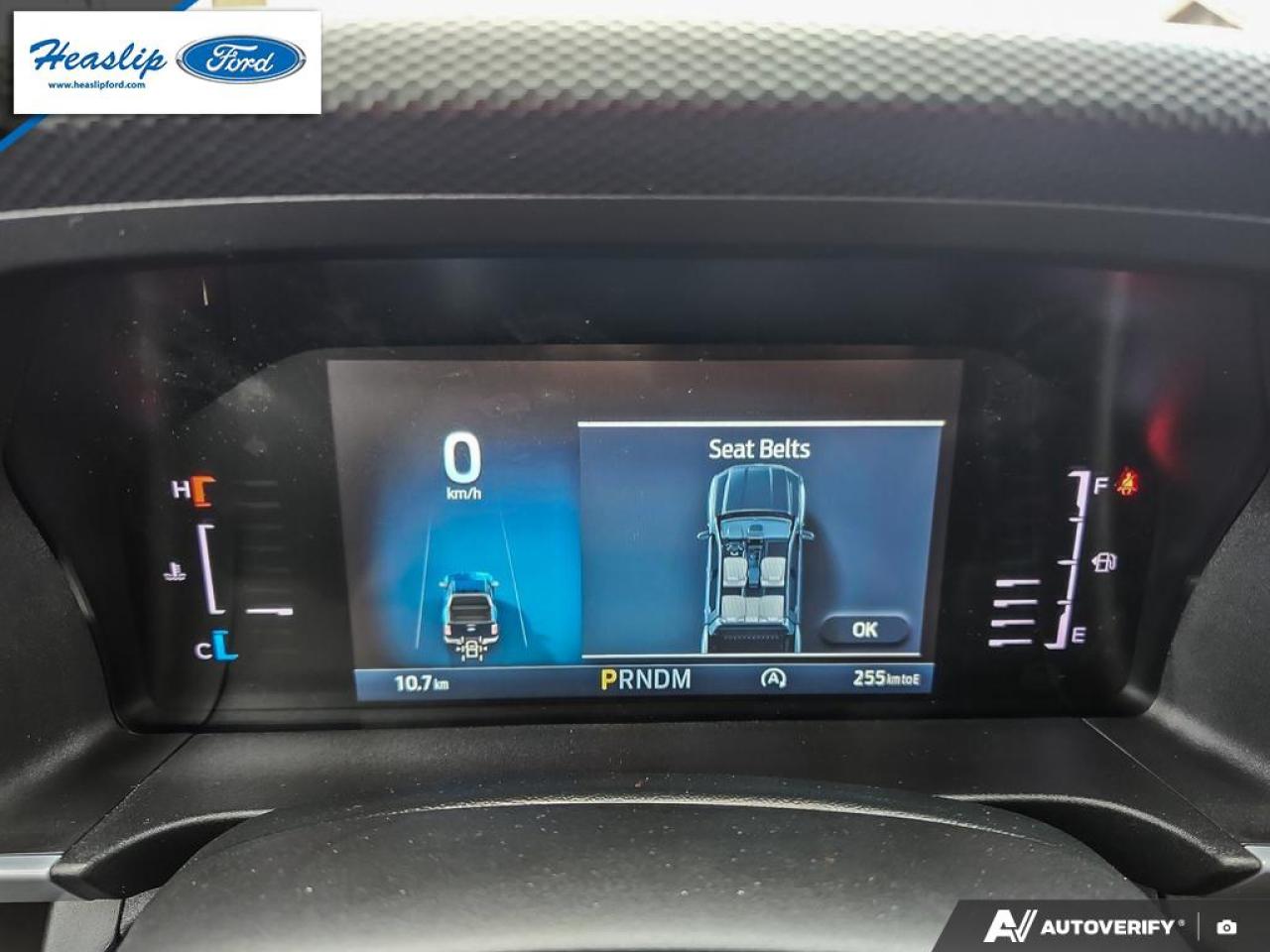 2025 Ford Ranger XL Photo