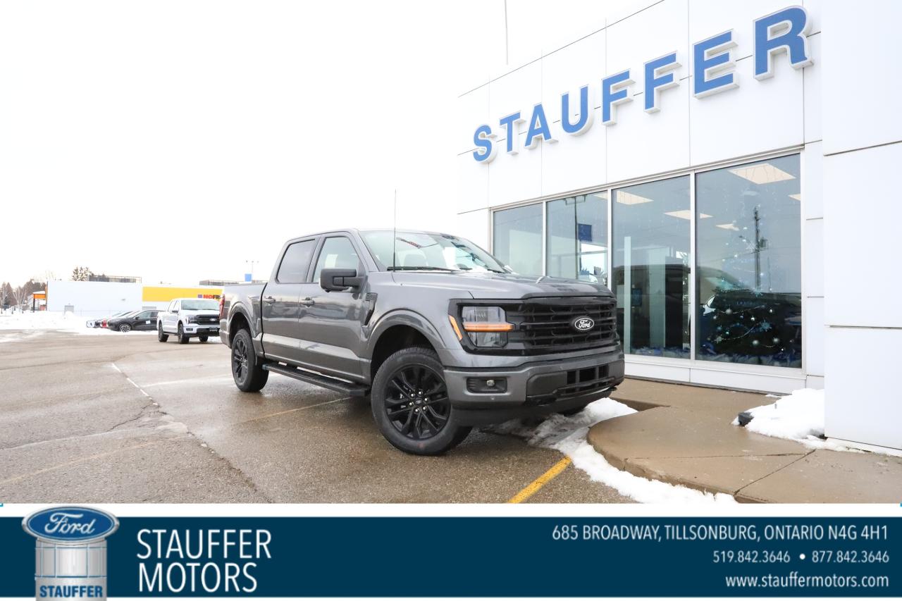 2025 Ford F-150 XLT 4WD SuperCrew 5.5' Box Photo