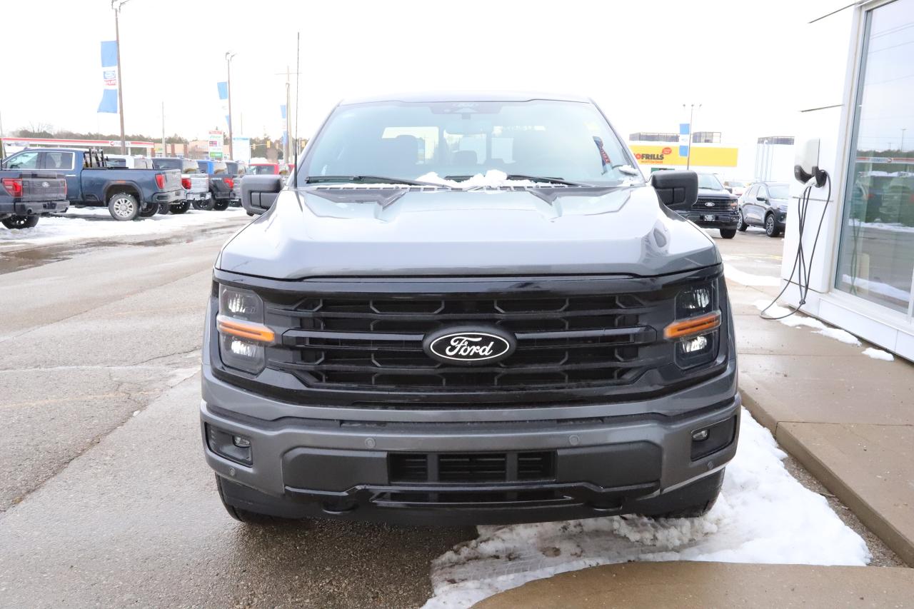 2025 Ford F-150 XLT 4WD SuperCrew 5.5' Box Photo