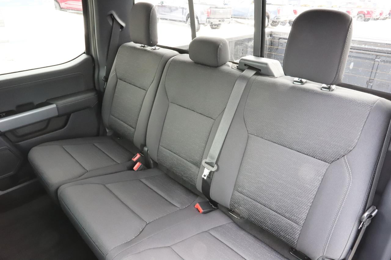 2025 Ford F-150 XLT 4WD SuperCrew 5.5' Box Photo