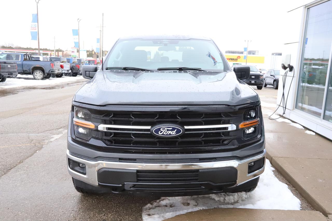 2025 Ford F-150 XLT 4WD SuperCrew 5.5' Box Photo