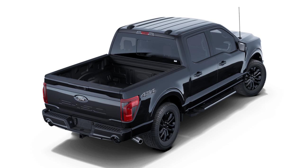 2025 Ford F-150 4x4 Supercrew-145 Photo