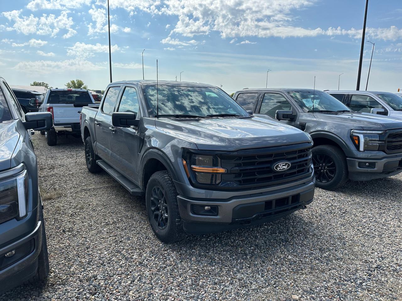 2025 Ford F-150 XLT 4WD SuperCrew 5.5' Box 301A Photo