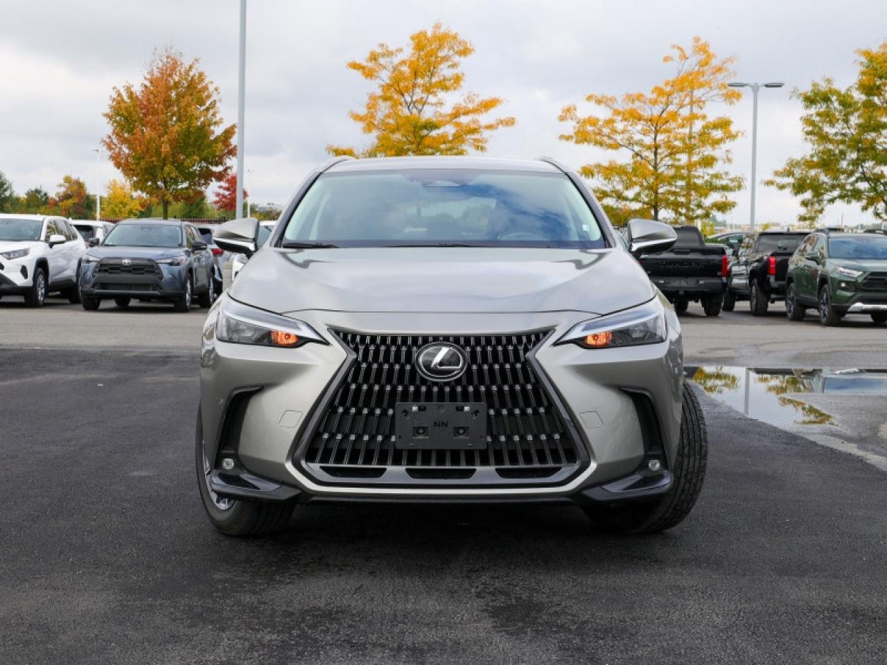 2023 Lexus NX 250 Signature  - $284 B/W Photo4