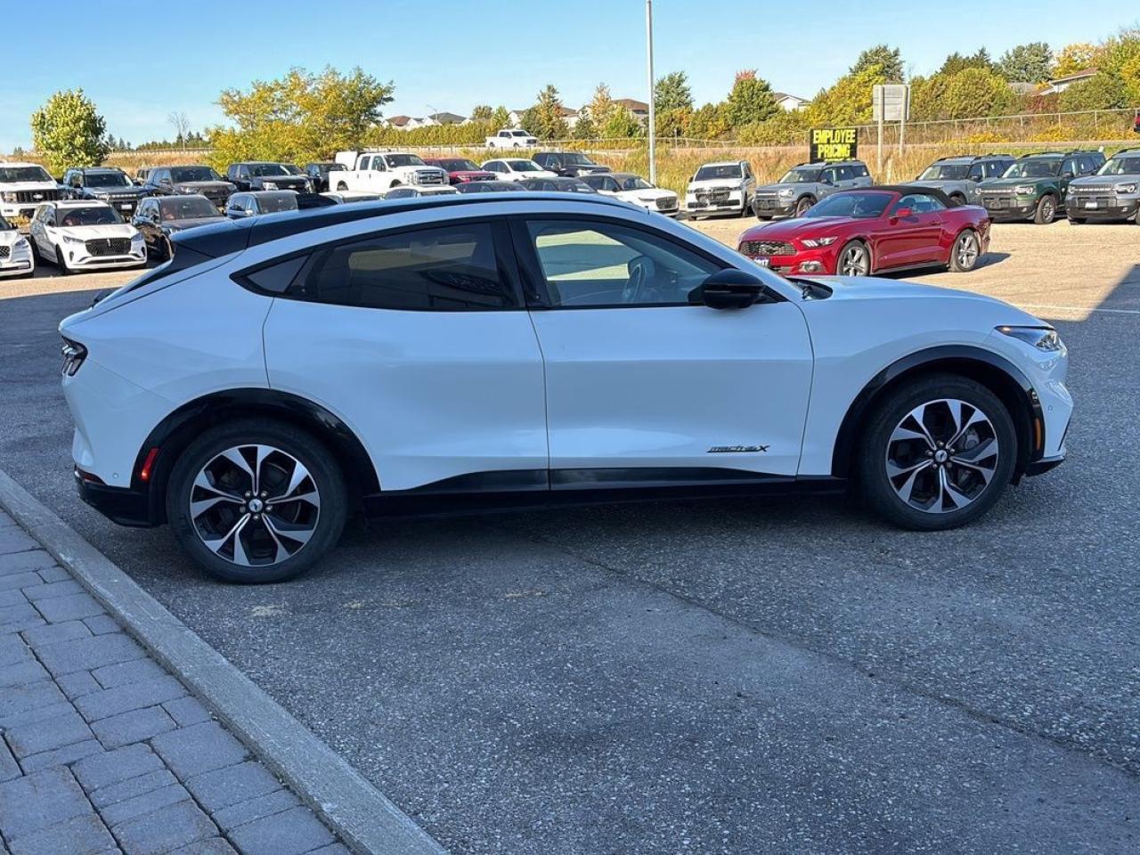 2022 Ford Mustang Mach-E Premium Photo