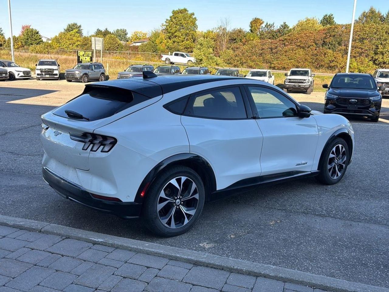 2022 Ford Mustang Mach-E Premium Photo4
