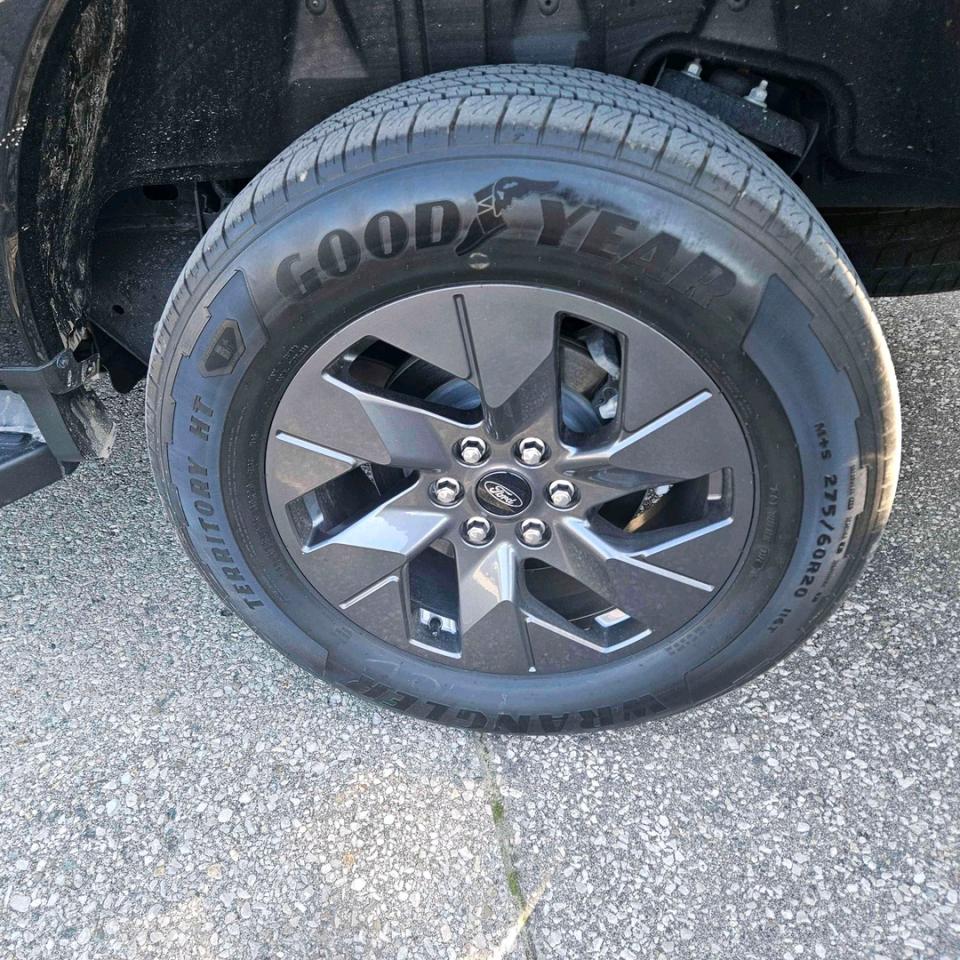 12986638