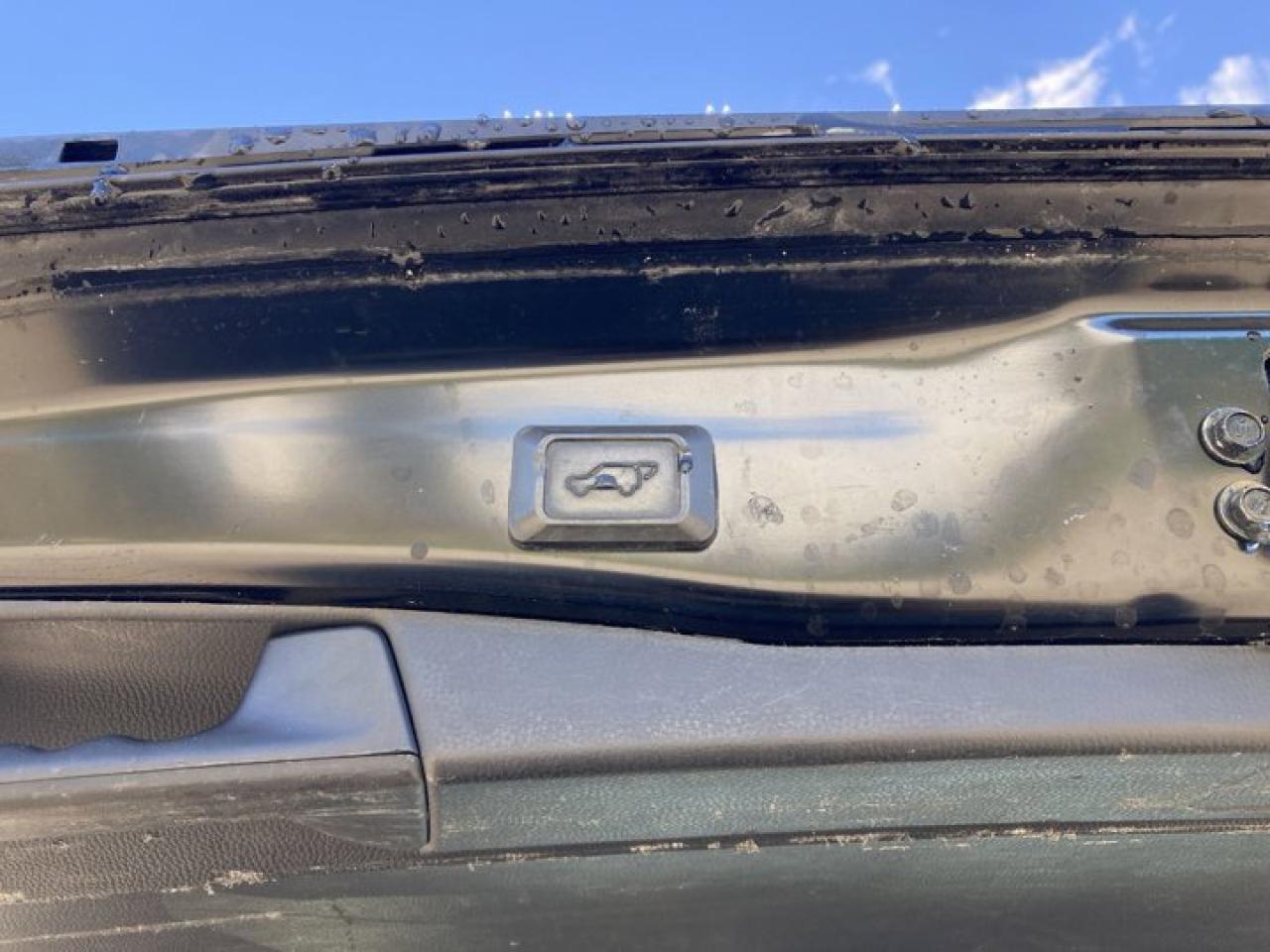 2021 Toyota RAV4 Trail AWD | Sunroof | Leather Seats | Photo