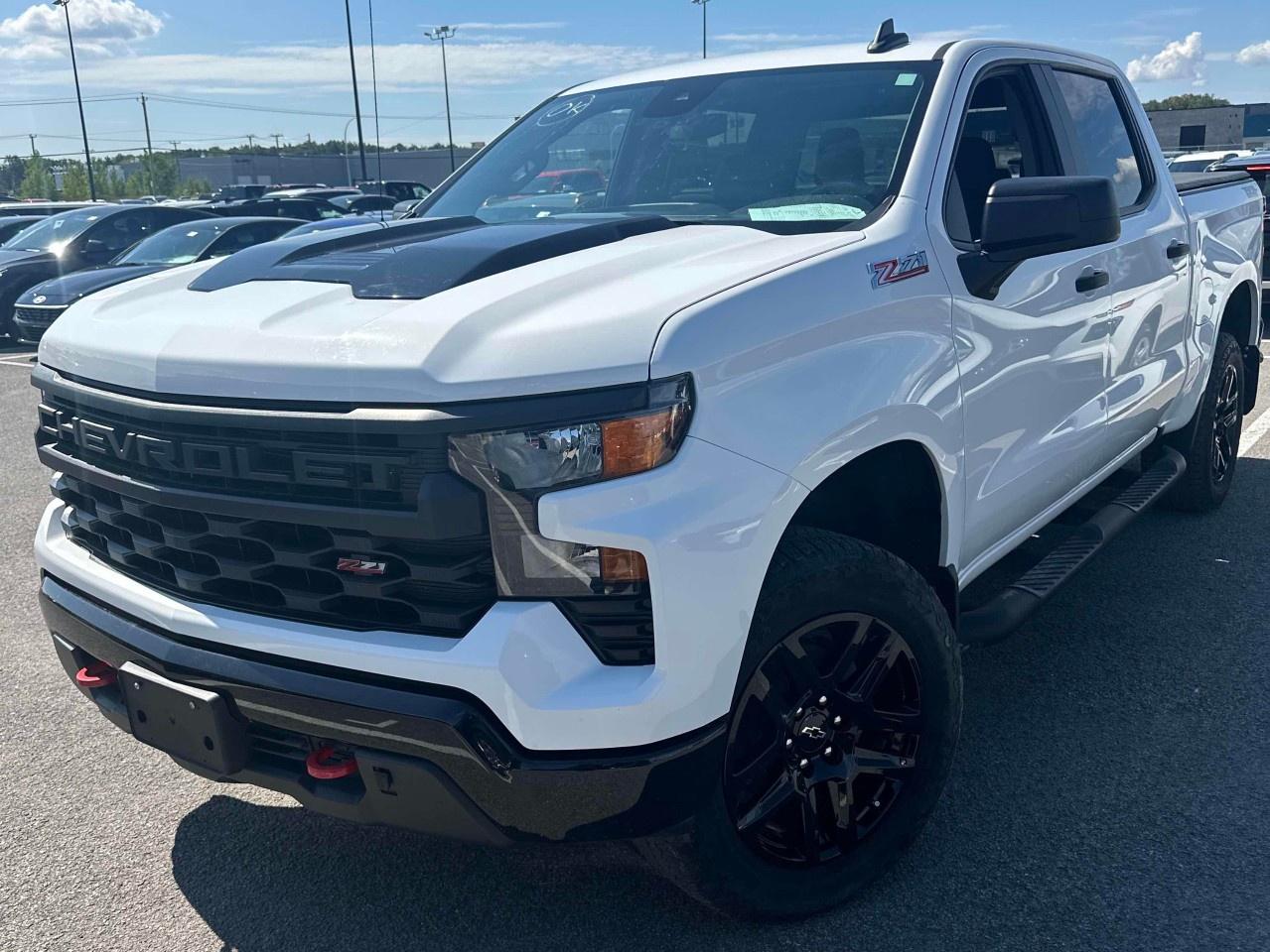 Used 2023 Chevrolet Silverado 1500  for sale in Truro, NS