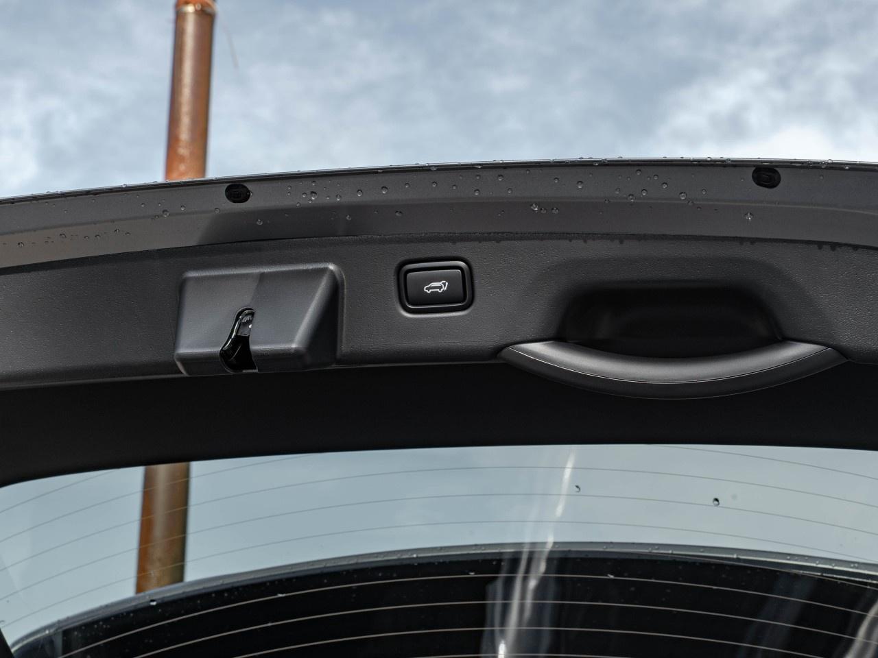 2026 Kia NIRO EV Wind  FWD Photo