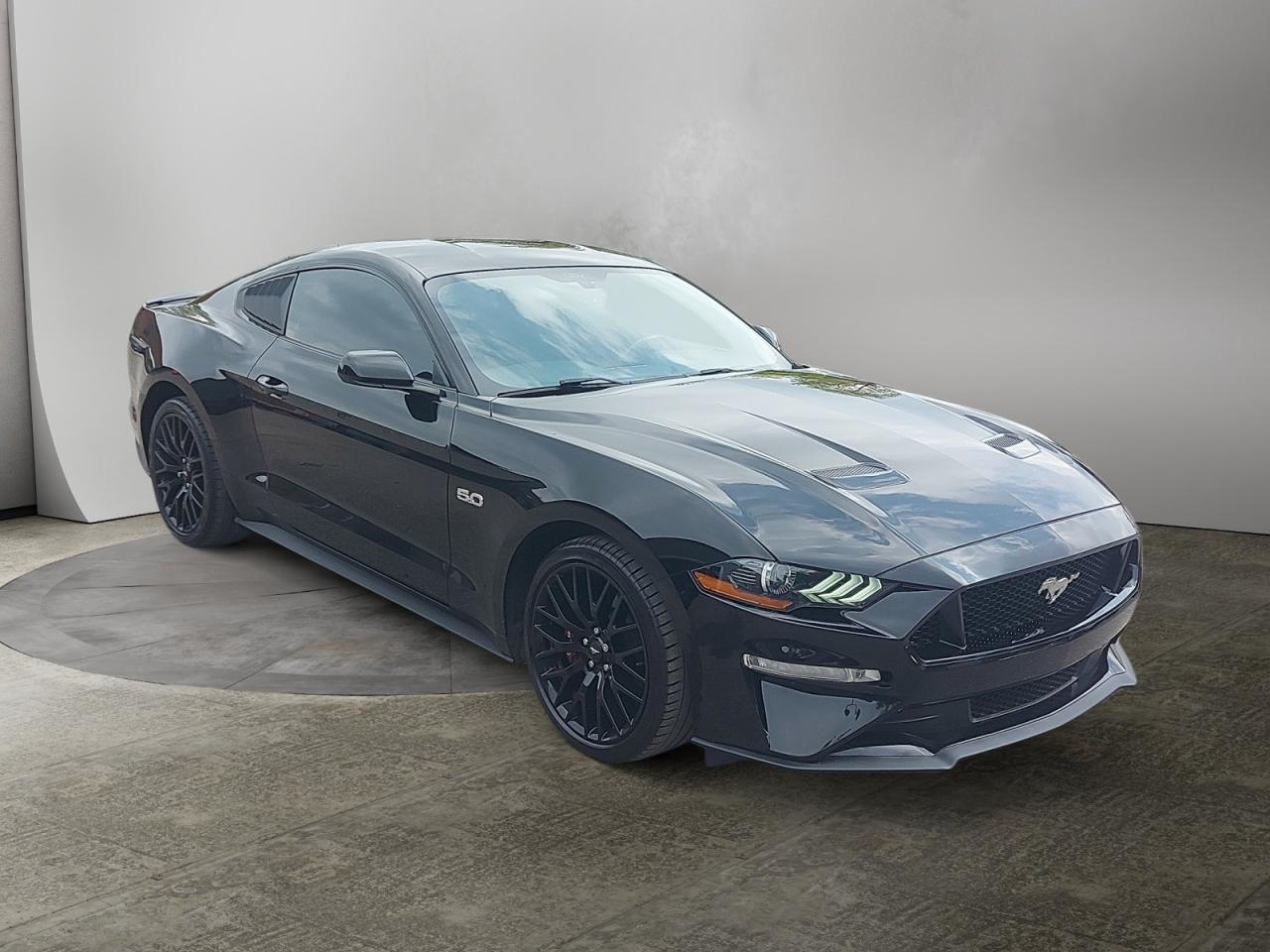 2019 Ford Mustang GT Photo