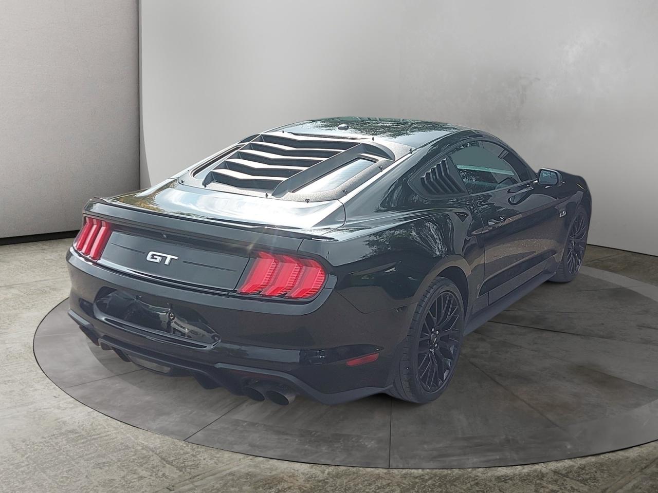 2019 Ford Mustang GT Photo