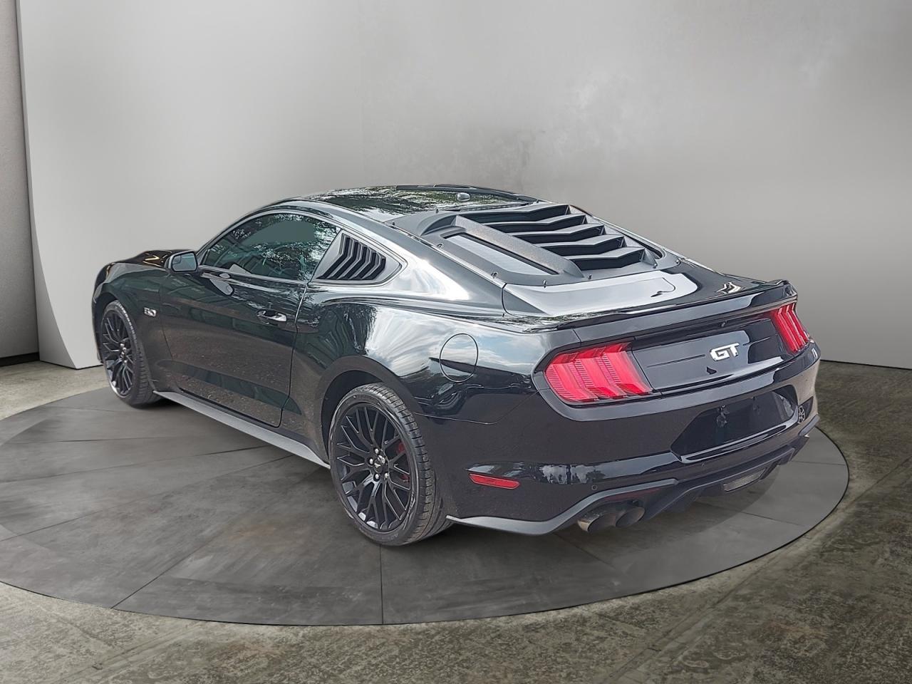 2019 Ford Mustang GT Photo