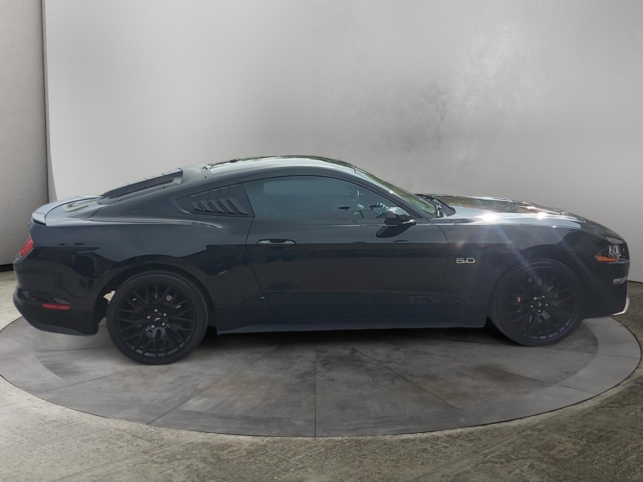 2019 Ford Mustang GT Photo