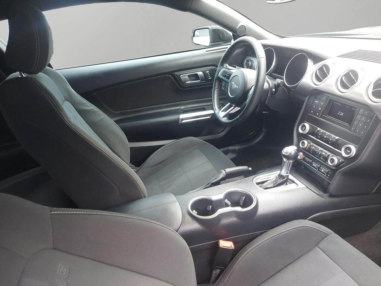 2019 Ford Mustang GT Photo