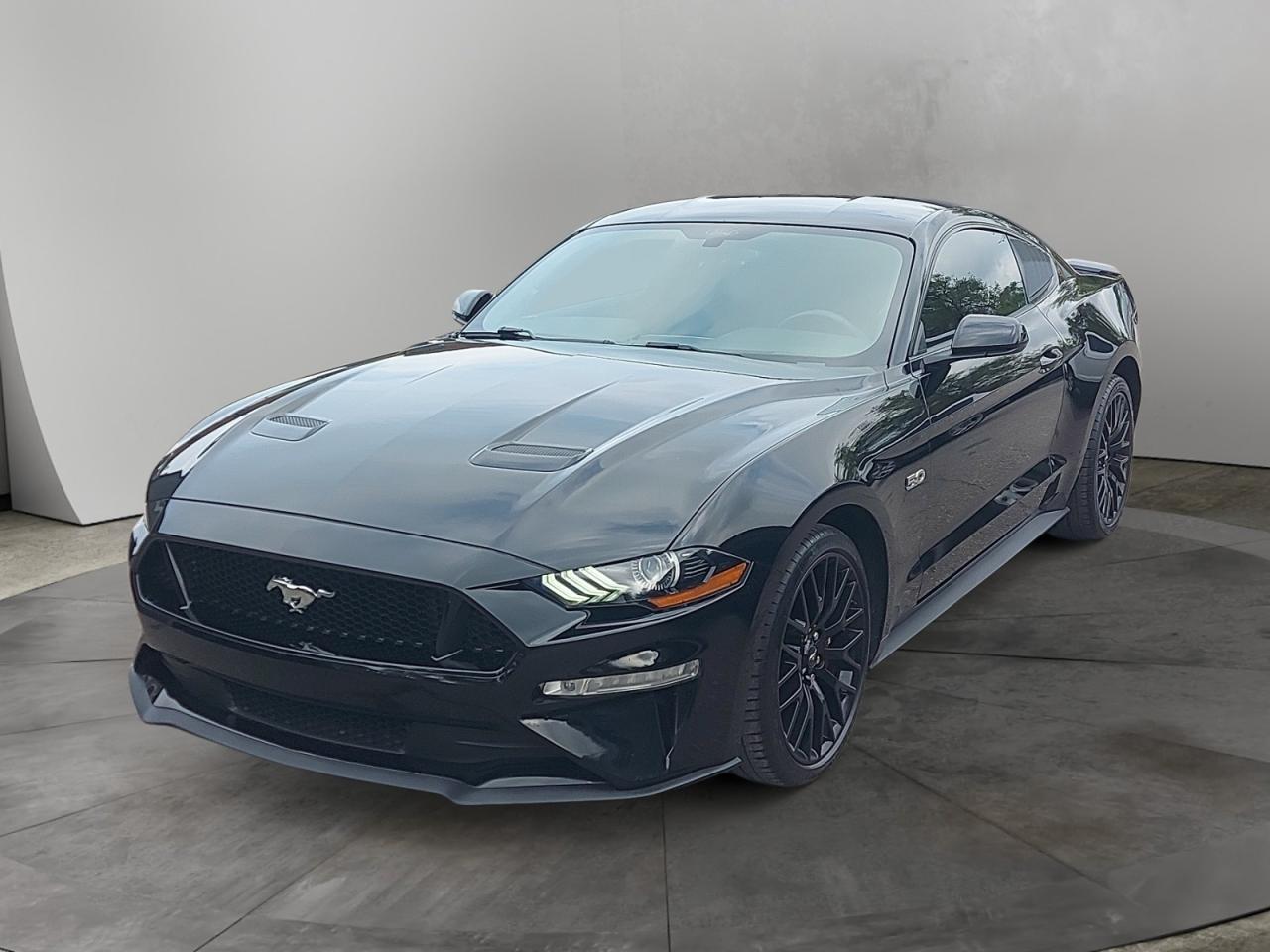 2019 Ford Mustang GT Photo0