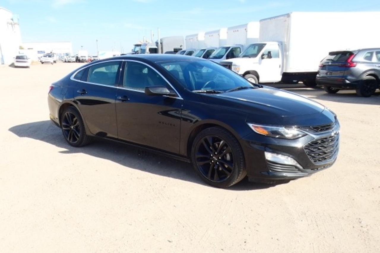 2023 Chevrolet Malibu 1LT w/Htd cloth, pano S/R, BUC - Photo #4