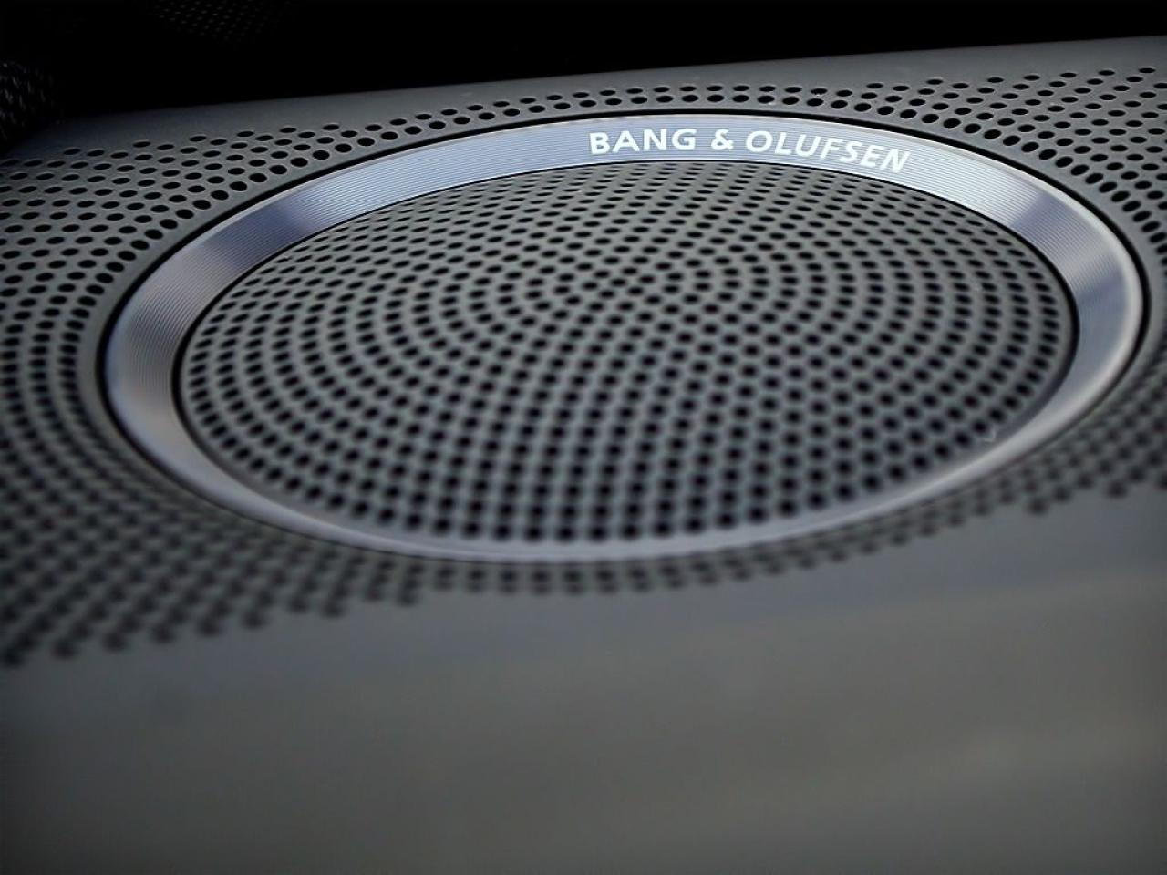 2010 Audi S5 NAVI|REARCAM|VENT SEATS|PANOROOF Photo3