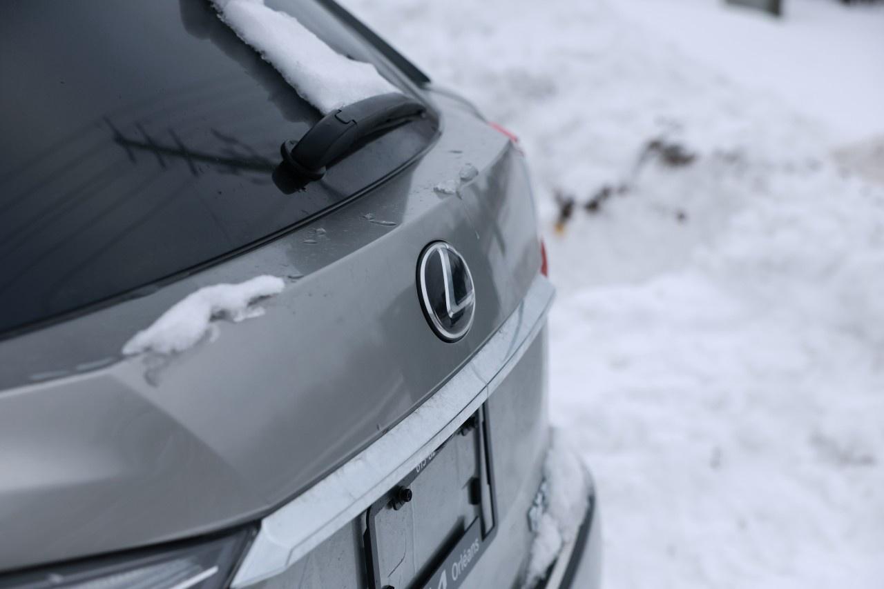 2021 Lexus RX RX 350L Auto Photo