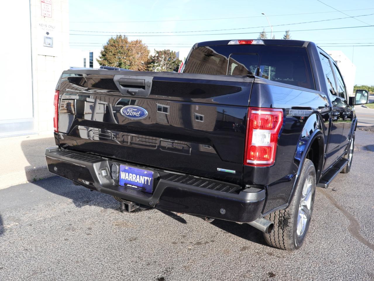 2019 Ford F-150 SPORT 4WD CERTIFIED *ACCIDENT FREE*FORD MAINTAIN* NAV CAMERA BLUETOOTH HEATED CRUISE ALLOYS - Photo #6