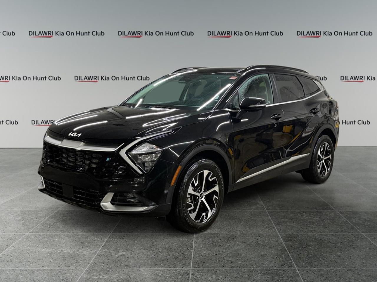 Used 2024 Kia Sportage EX AWD for sale in Nepean, ON