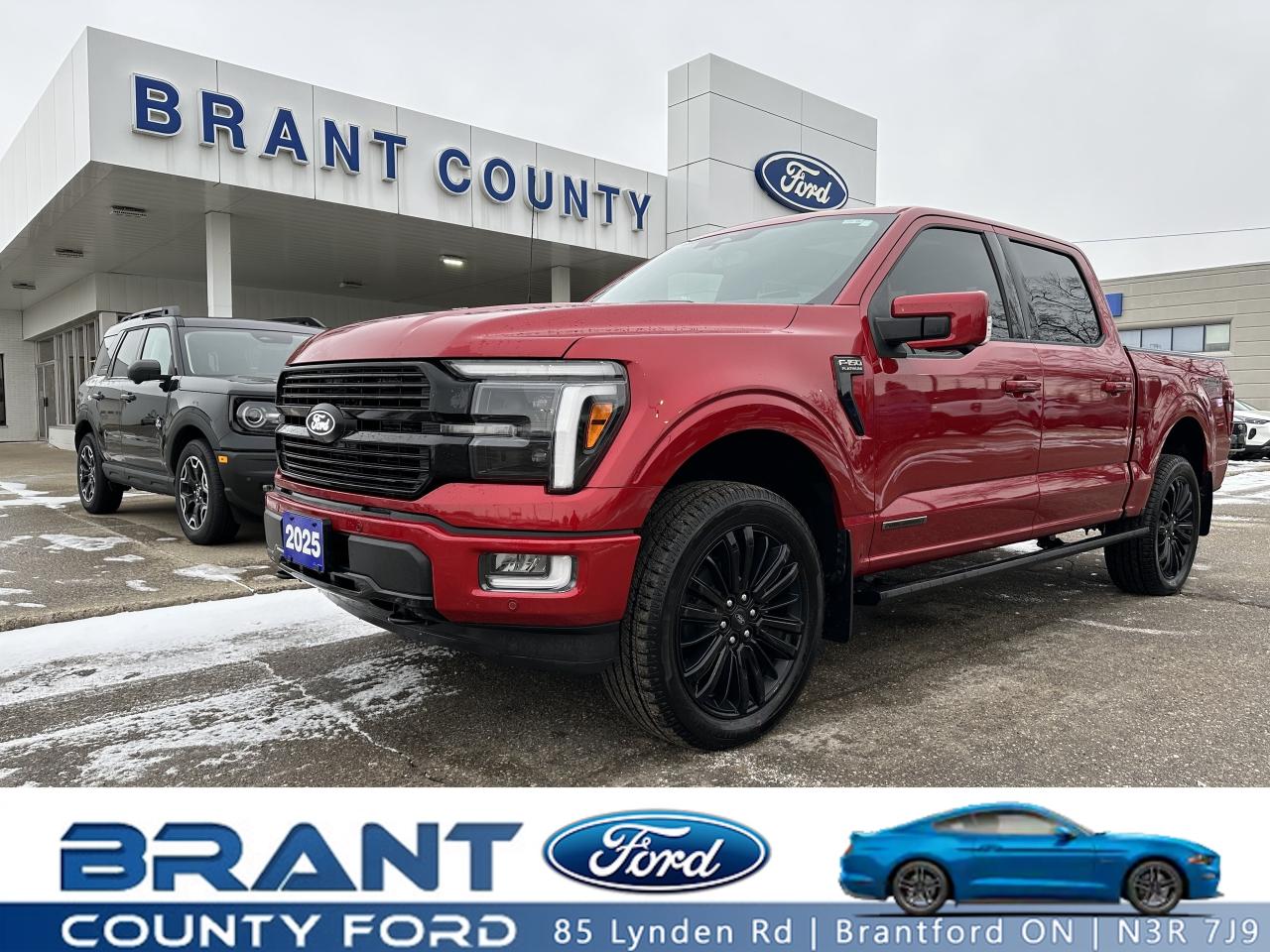 2025 Ford F-150 PLATINUM/HYBRID/EVEN THE COLOUR IS AN OPTION!!!!! Photo0