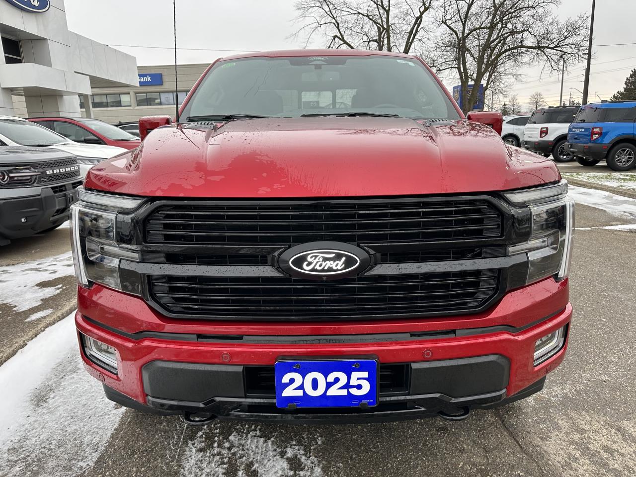 2025 Ford F-150 PLATINUM/HYBRID/EVEN THE COLOUR IS AN OPTION!!!!! Photo