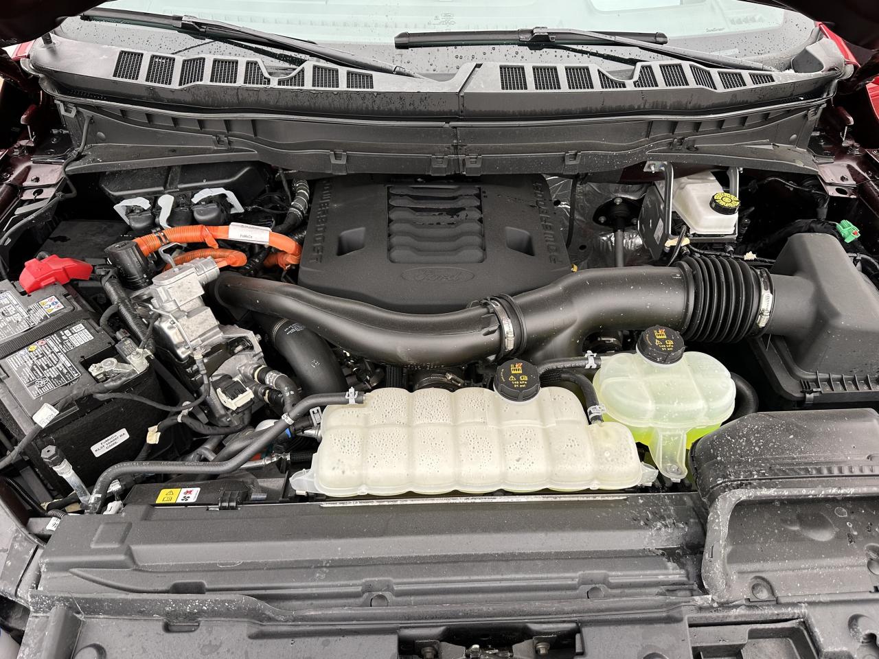 2025 Ford F-150 PLATINUM/HYBRID/EVEN THE COLOUR IS AN OPTION!!!!! Photo