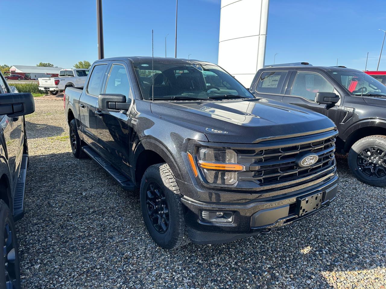 2025 Ford F-150 XLT 4WD SuperCrew 5.5' Box 301A Photo1