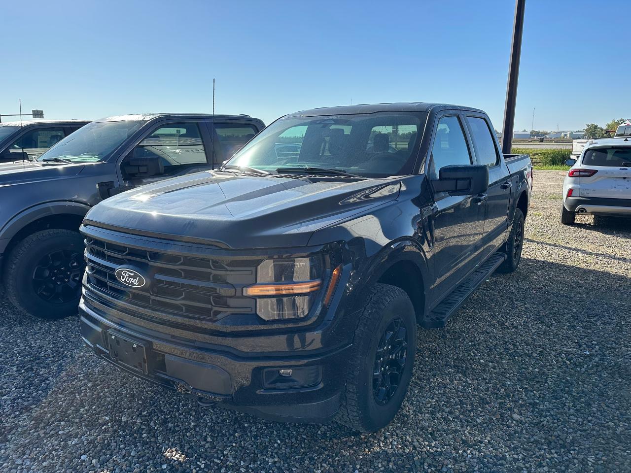 New 2025 Ford F-150 XLT 4WD SuperCrew 5.5' Box 301A for sale in Elie, MB