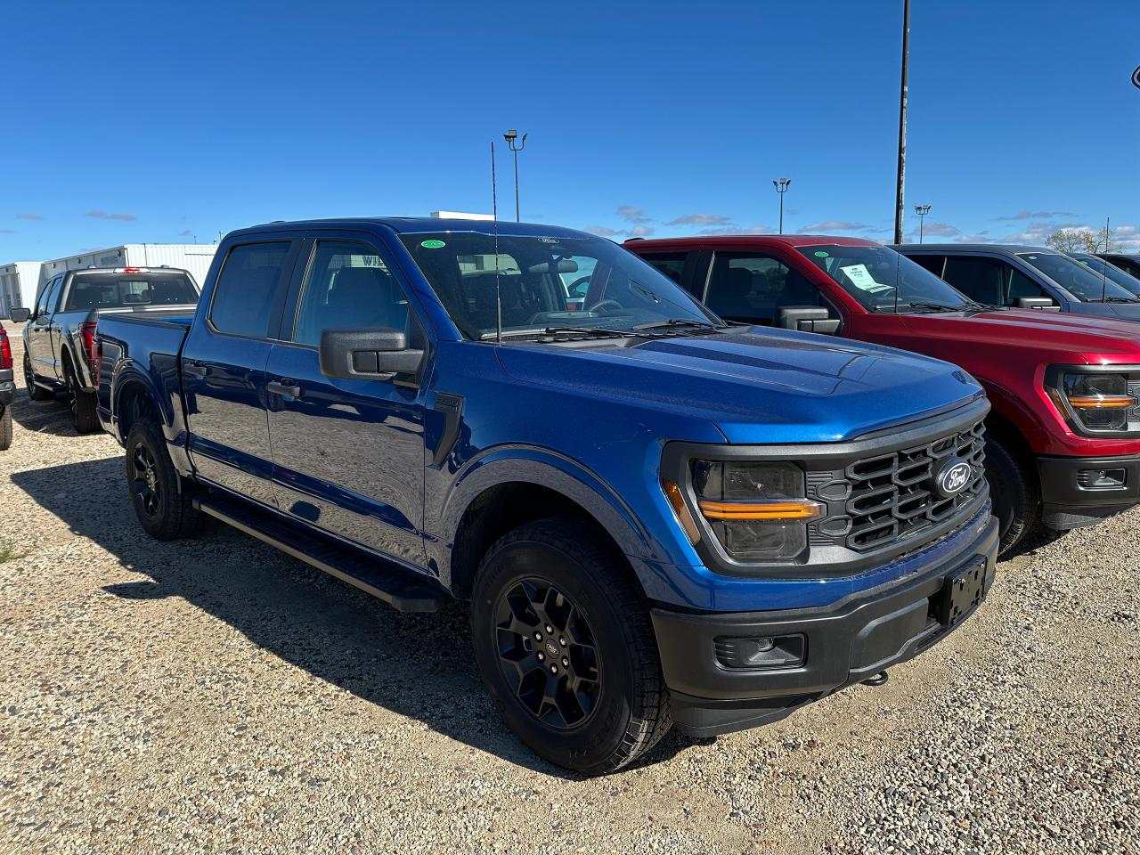 2025 Ford F-150 STX 4WD SuperCrew 5.5' Box 201A Photo