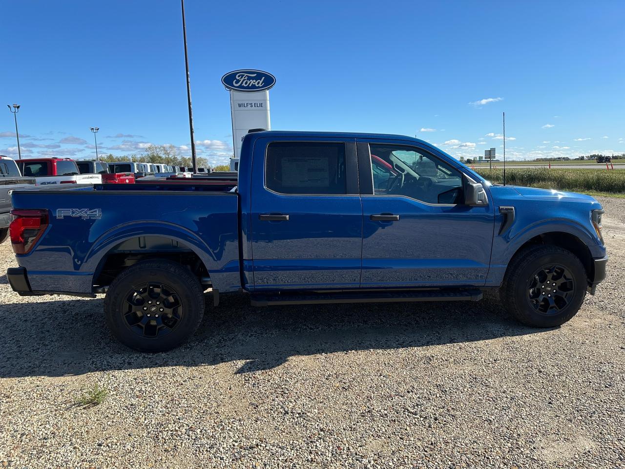2025 Ford F-150 STX 4WD SuperCrew 5.5' Box 201A Photo5
