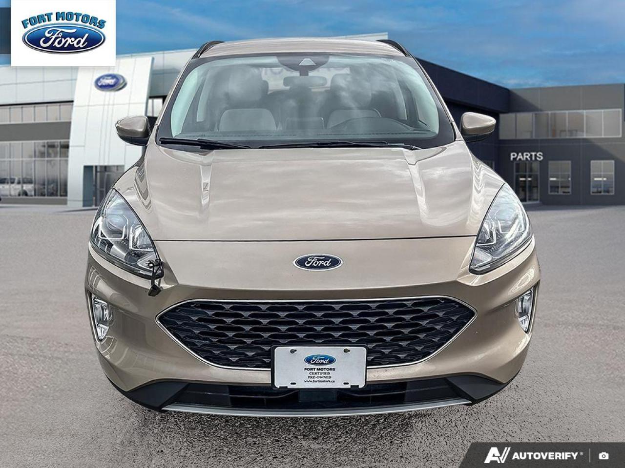 2021 Ford Escape 4DR SEL FWD Photo