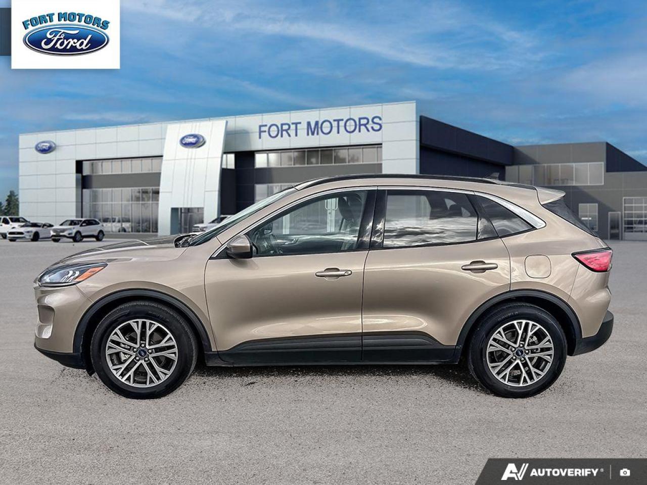 2021 Ford Escape 4DR SEL FWD Photo