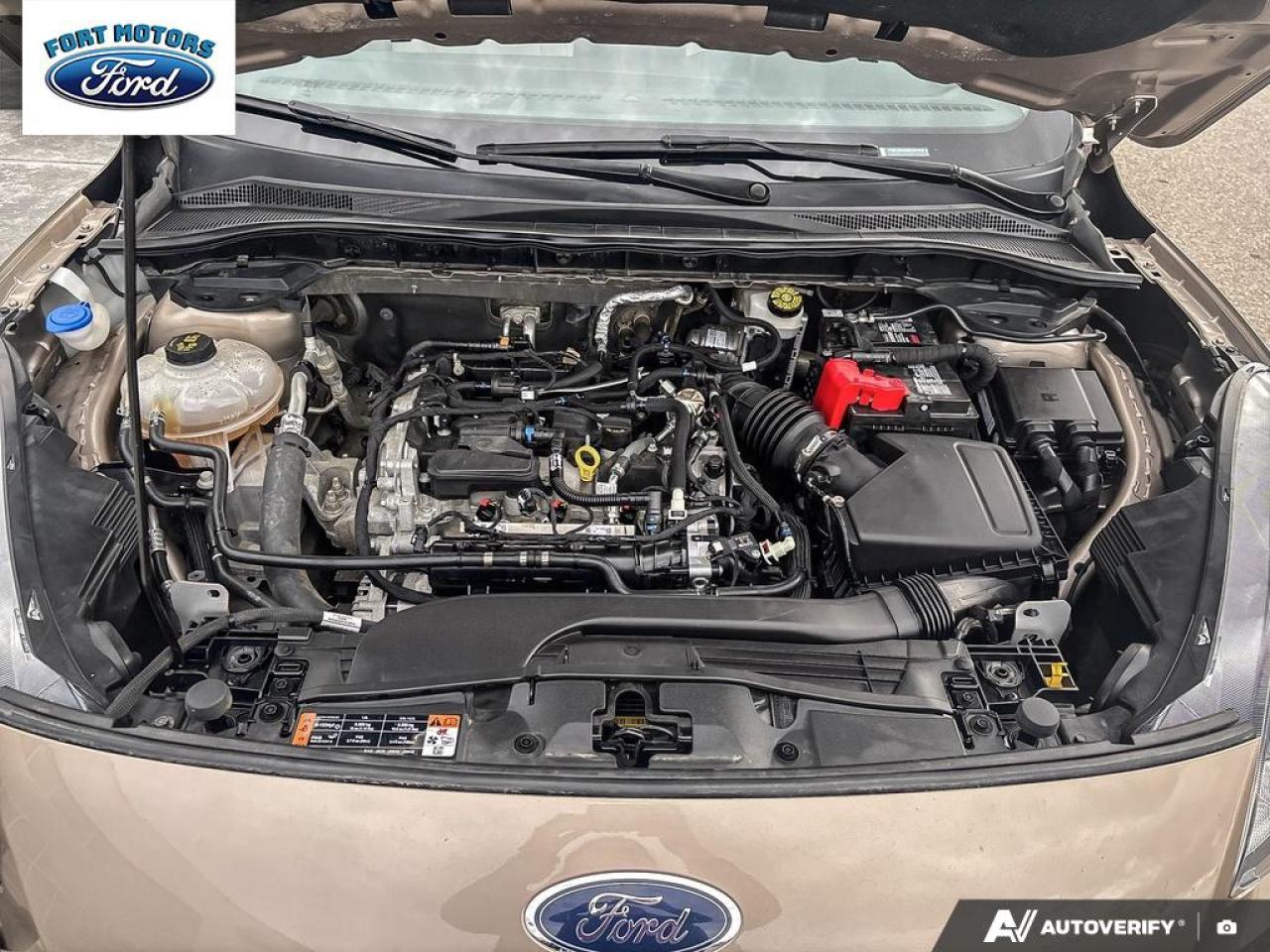 2021 Ford Escape 4DR SEL FWD Photo5