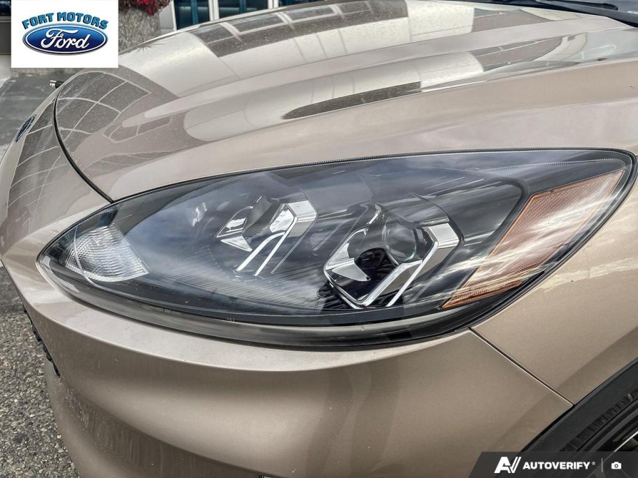 2021 Ford Escape 4DR SEL FWD Photo5