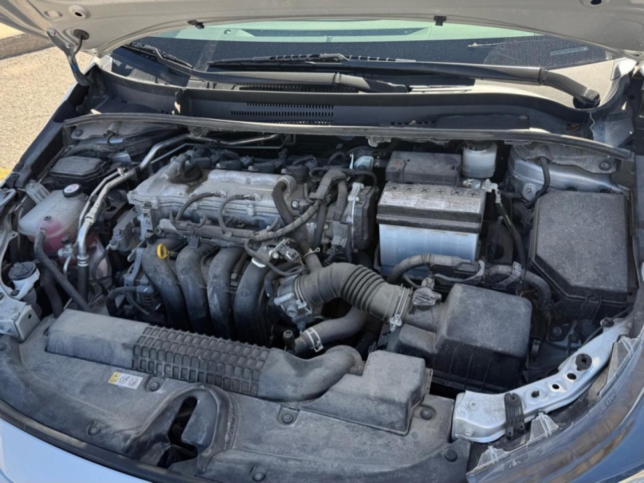 2022 Toyota Corolla LE Upgrade  -  LED Lights Photo