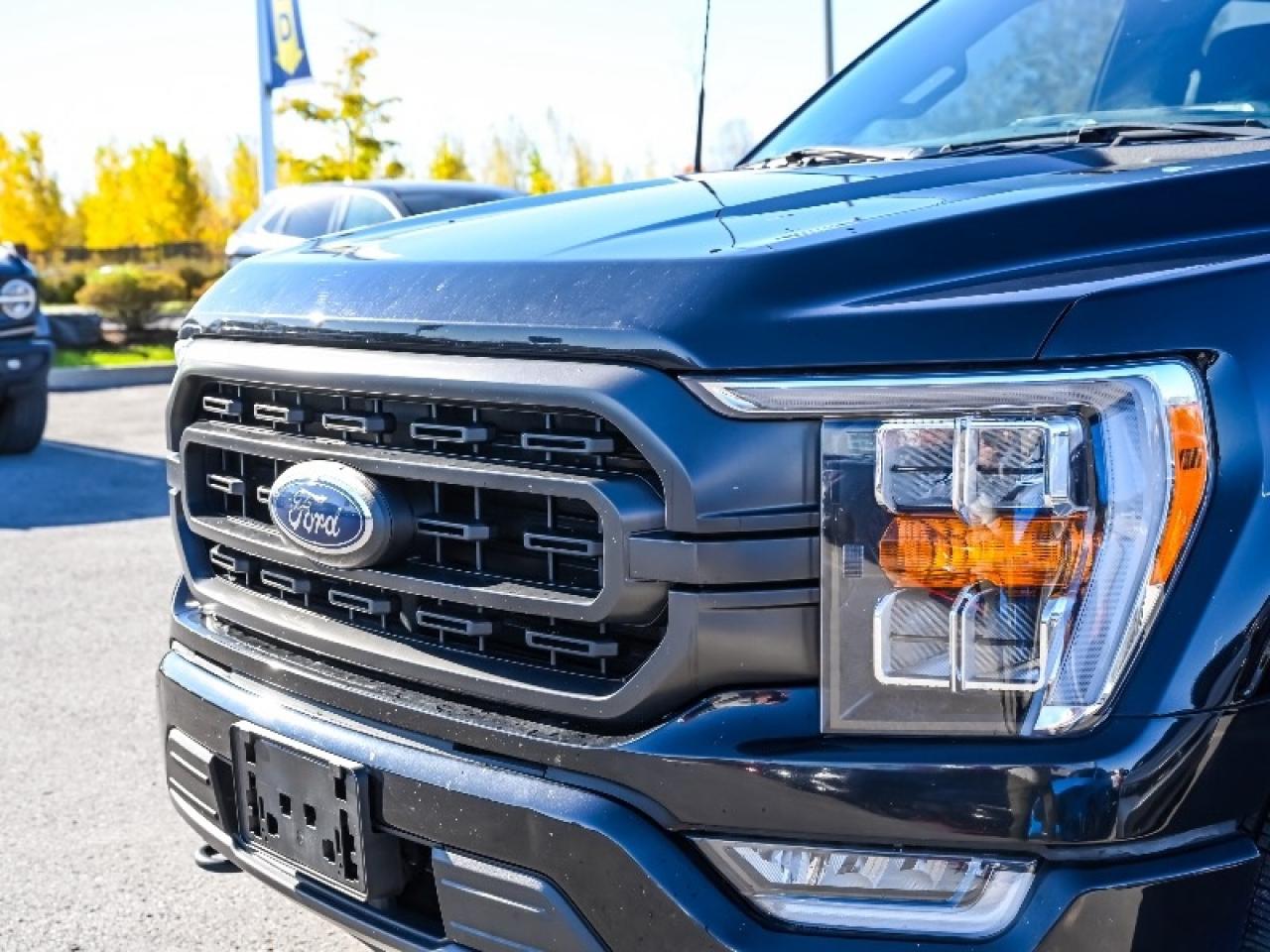 2022 Ford F-150 XLT Photo