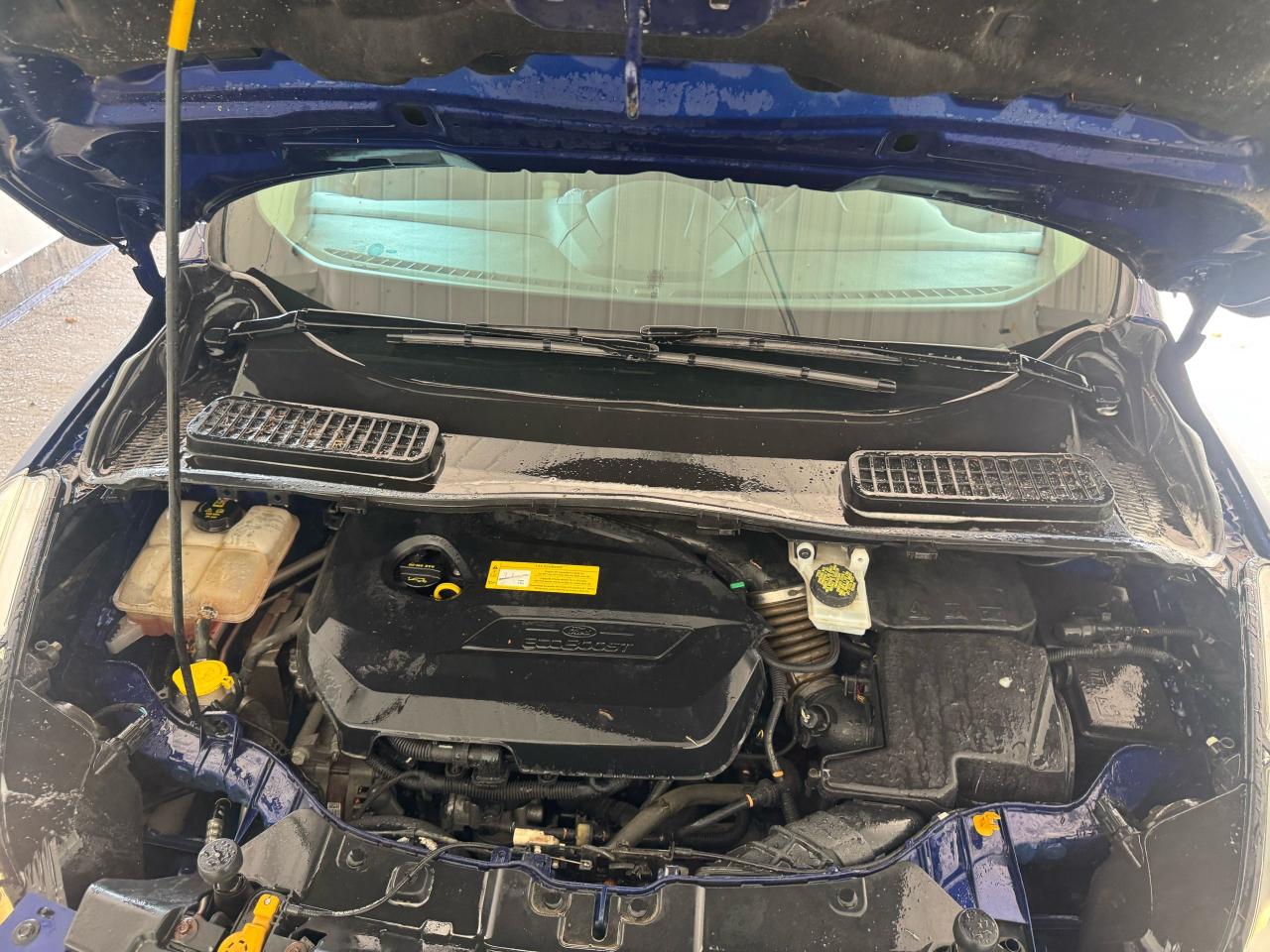 2016 Ford Escape SE, AUTO, 4 CYL, NEEDS TRANSMISSION REPAIR, AS IS - Photo #19