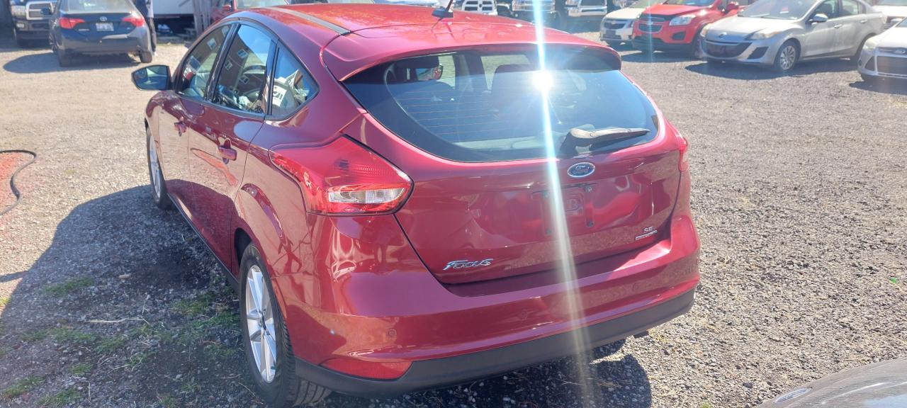 2015 Ford Focus SE - Photo #8