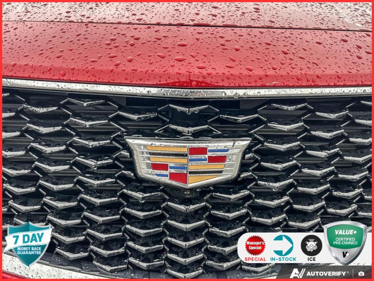 2023 Cadillac XT4 Sport ONE OWNER | COMFORT/CONVENIENCE PKG | VENTILATED Photo