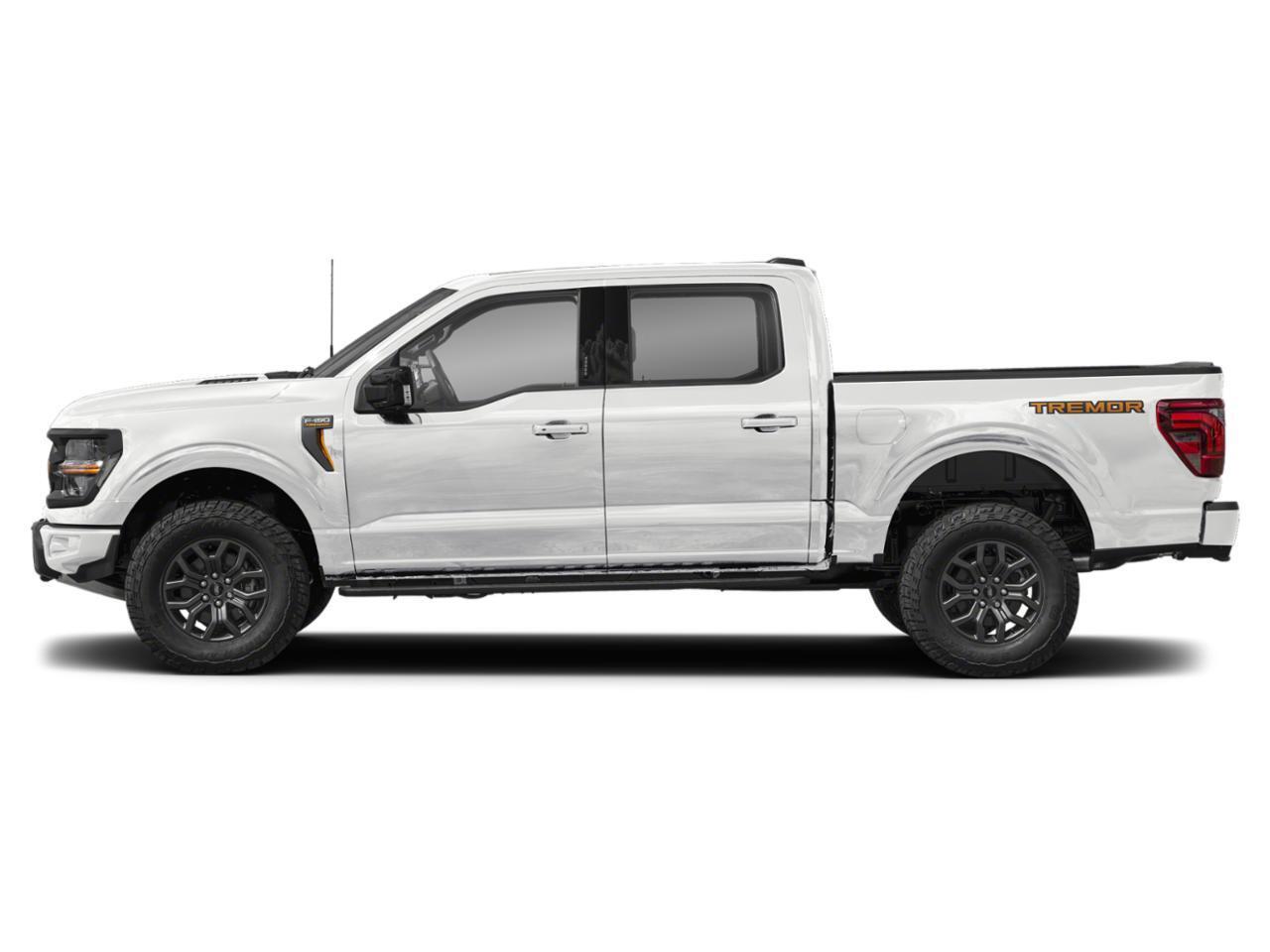 2025 Ford F-150 Tremor 4WD SuperCrew 5.5' Box Photo2