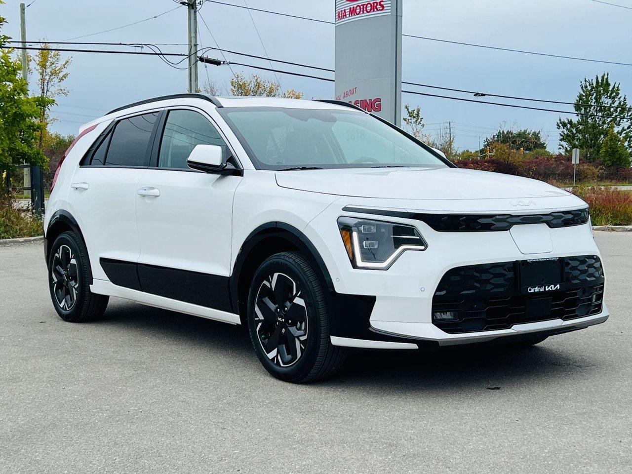 2026 Kia NIRO EV WAVE Photo